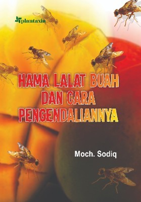 Hama Lalat Buah dan Cara Pengendaliannya
