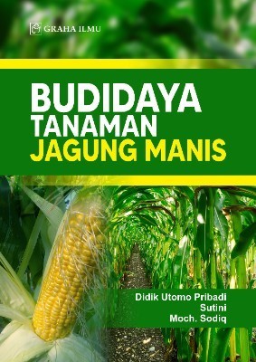 Budidaya Tanaman Jagung Manis