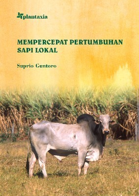 Mempercepat Pertumbuhan Sapi Lokal
