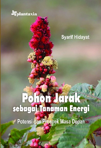 Pohon Jarak sebagai Tanaman Energi; Potensi dan Prospek Masa Depan