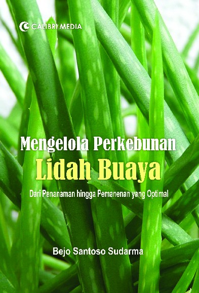 Mengelola Perkebunan Lidah Buaya; Dari Penanaman hingga Pemanenan yang Optimal