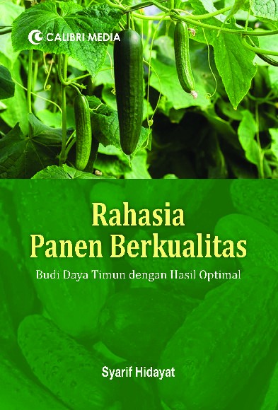 Rahasia Panen Berkualitas; Budi Daya Timun dengan Hasil Optimal