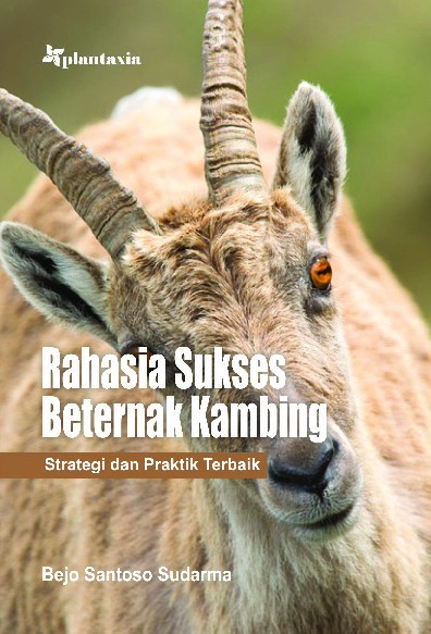Rahasia Sukses Beternak Kambing; Strategi dan Praktik Terbaik