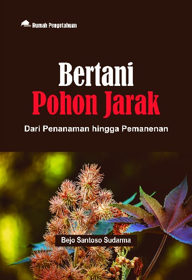 Bertani Pohon Jarak; Dari Penanaman hingga Pemanenan