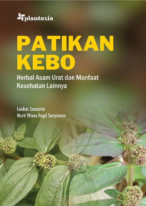Patikan Kebo; Herbal Asam Urat dan Manfaat Kesehatan Lainnya
